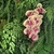 Jardim Vertical com Flores - comprar online
