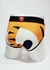 THE TIGER - BRIEF - GAB SHIBA