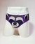 THE RACCOON - BRIEF en internet