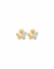 Brinco Borboleta Bicolor Ouro 18k