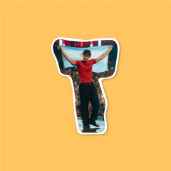 Sticker Shawn Mendes - comprar online