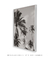 Quadro Decorativo Coqueiros PB - Rovie