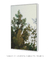 Imagem do Quadro Decorativo Pine Grove