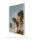 Quadro Decorativo Praia do Forte - Rovie