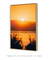 Quadro Decorativo San Diego Sunrise - comprar online