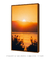 Quadro Decorativo San Diego Sunrise na internet