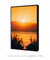 Quadro Decorativo San Diego Sunrise - Rovie