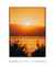 Quadro Decorativo San Diego Sunrise - comprar online