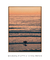 Quadro Decorativo San Diego Sunset na internet