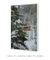 Imagem do Quadro Decorativo Snow Cabin II