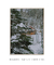 Imagem do Quadro Decorativo Snow Cabin II