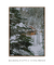 Quadro Decorativo Snow Cabin II - comprar online