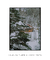 Quadro Decorativo Snow Cabin II - loja online