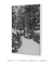 Imagem do Quadro Decorativo Snow Cabin IV