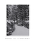 Quadro Decorativo Snow Cabin IV - Rovie