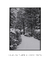 Quadro Decorativo Snow Cabin IV - comprar online