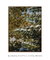 Quadro Decorativo Snow is Here - comprar online