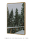 Quadro Decorativo Snowy Pines I