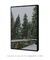 Quadro Decorativo Snowy Pines I na internet