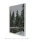 Quadro Decorativo Snowy Pines I - loja online