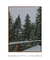 Quadro Decorativo Snowy Pines I - comprar online