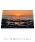 Quadro Decorativo Sunset in Cali - comprar online