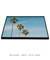 Quadro Decorativo Tropical Feelings - loja online