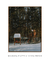 Quadro Decorativo Winter Hideway - comprar online