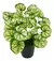 Jardin vertical artificial ramo planta decoracion