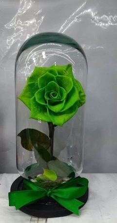 Rosa Eterna Varios Colores A Elegir - Floreria Casa Blanca