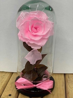 Rosa Eterna Varios Colores A Elegir