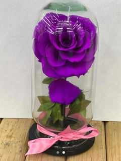 Rosa Eterna Varios Colores A Elegir - tienda en línea