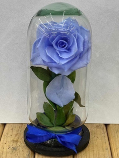 Rosa Eterna Varios Colores A Elegir - Floreria Casa Blanca