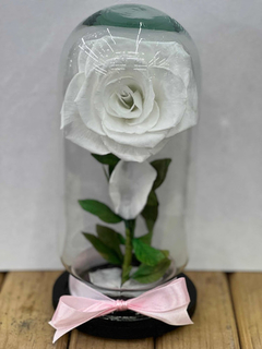 Rosa Eterna Varios Colores A Elegir en internet