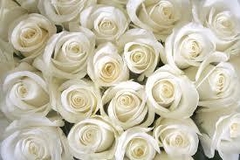 Feliz cumpleaños - Floreria Casa Blanca