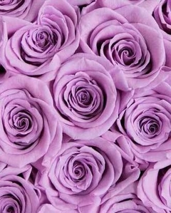 Imagen de ramo 36 rosas y letrero