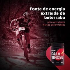 Palatinose FourLab 500g com baixo índice glicêmico Aumenta a queima de gordura corporal - comprar online