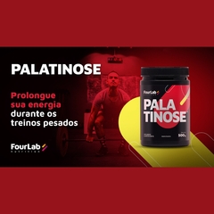 Palatinose FourLab 500g com baixo índice glicêmico Aumenta a queima de gordura corporal - loja online