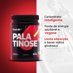 Palatinose FourLab 500g com baixo índice glicêmico Aumenta a queima de gordura corporal na internet
