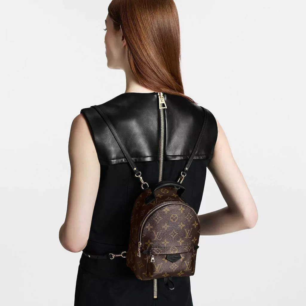 Bolsa Louis Vuitton Palm Springs Mini