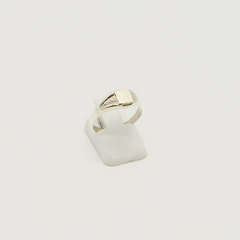 ANILLO SELLO DE HOMBRE HUECO PLATA S50