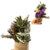 Sahumerio Floral en internet