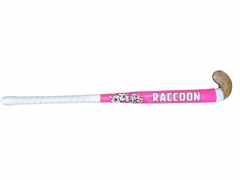 Palo Iniciación Raccon en internet