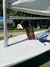 Veleiro Laser Standant