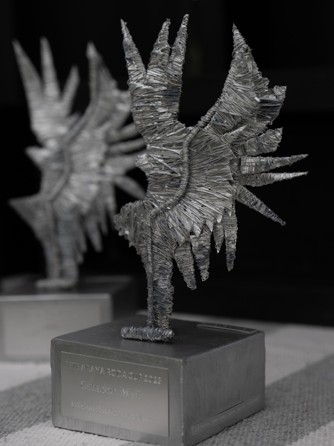 Premio Trofeo Pete Araya