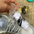 SB Dunk Low “Sean Cliver” - comprar online