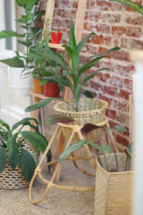 Portamaceta de Caña