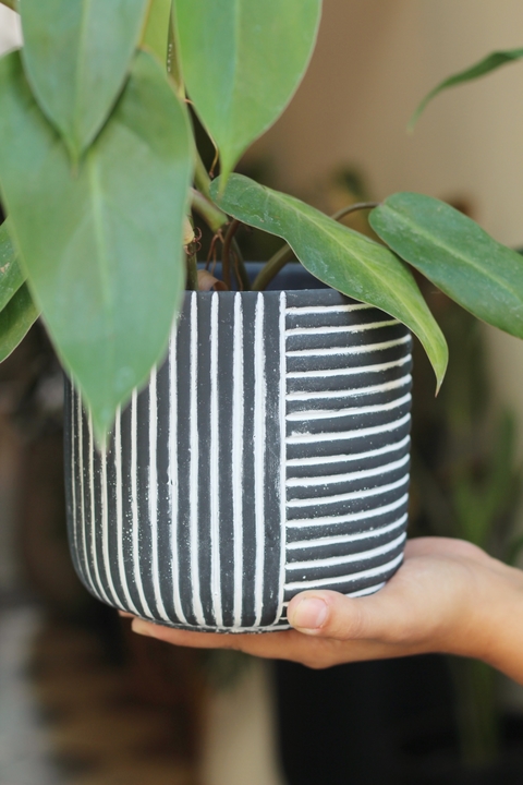 Negra con Rayas Piedra