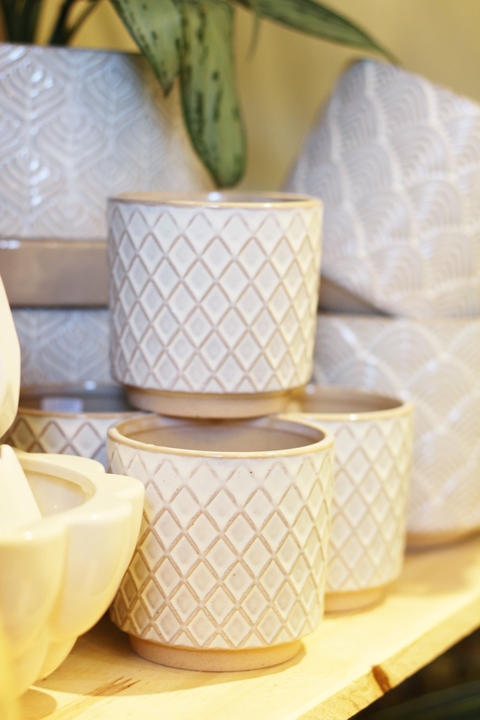 Labrada Colour Mediana - comprar online