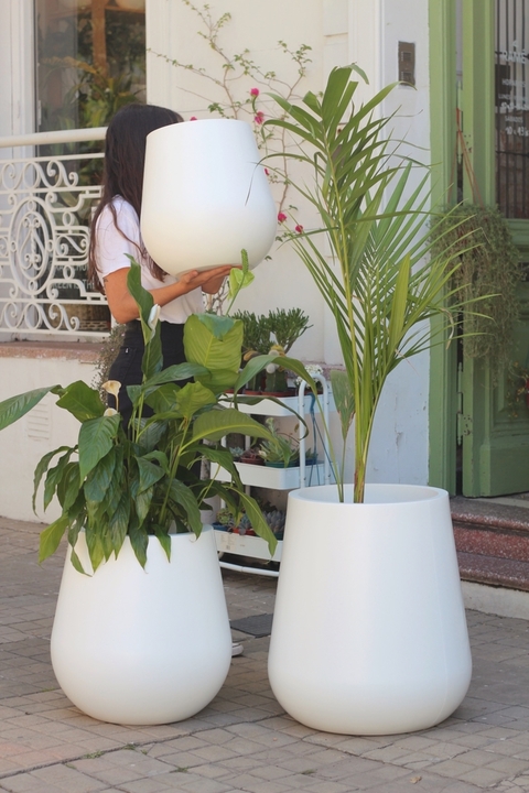 Copa Lisa Rotomoldeada 50